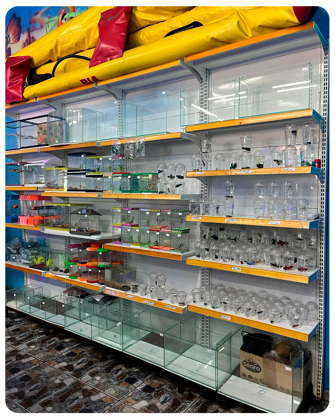 5749864555895556665566655888658888